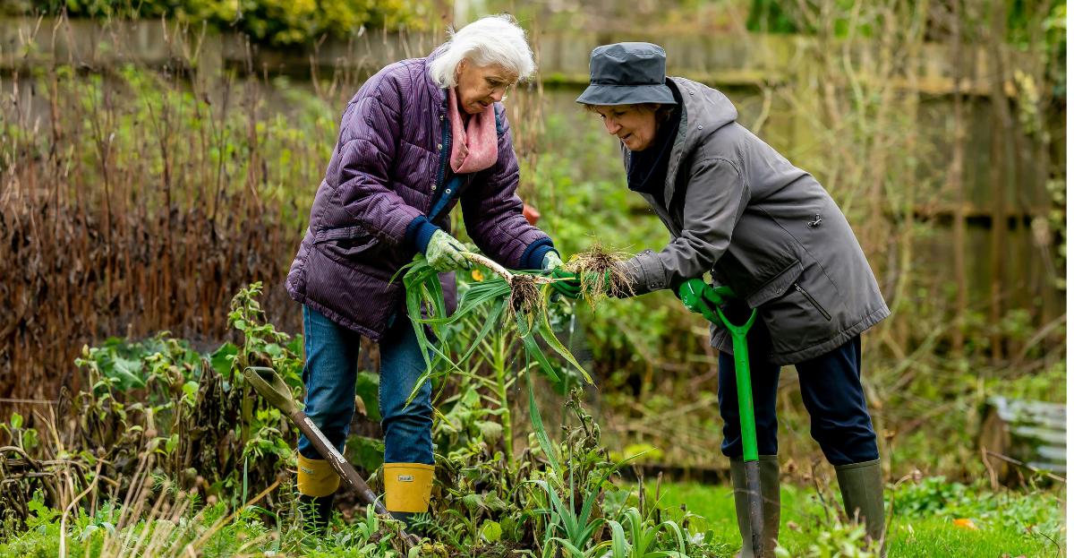 Friends sharing allotments